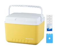 Contenitore refrigerante portatile da campeggio da 6 litri, secchiello termico per il ghiaccio isolato per viaggi, spiaggia, picnic, barbecue, pesca, tailgating e conservazione degli alimenti