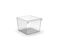 CONTENITORE ROTHO LOFT organizer quadrato per frigorifero, 5L
