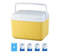 Contenitore termico isolato - refrigeratore per il petto di ghiaccio | campeggio nel refrigeratore esterno | contenitore portatile durevole | accessori da campeggio freezer per escursioni picnic BBQ