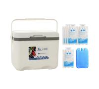 Contenitore termico portatile con maniglia, 6 litri, per cucina, barbecue,