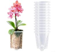 Contenitore trasparente per orchidee con guida per radici, struttura in resina ispessita, prese d'aria laterali e inferiori per il flusso d'aria all'interno, include vassoio 10 x 7,5 x 12 cm, set da