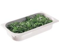 HENDI Contenitore Gastronorm, Recipiente GN, GN 1/3, resistente alle temperature da -40 °C a 110 °C, 2.5 L, 325x176x(H)65 mm, policarbonato bianco