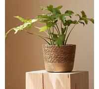 Contenitori portaoggetti rotondi per fioriere in tessuto intrecciato per