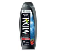 CONTER Srl VIDAL BAGNODOCCIA ENERGY&SPORT ENERGIZZANTE 500 ML