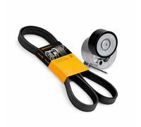 Conti 6PK1555 Cinghia Tenditore INA per VW T6 Bus Multivan 2.0 TDI