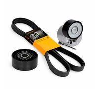 Conti 6PK1555 Kit Cinghia INA per VW T6 Bus Multivan Transporter 2.0TDI 1555mm