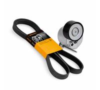 Conti Cinghia 6PK1555 + Tendicinghia per VW T6 Bus Multivan 2.0 TDI
