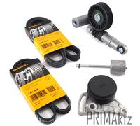 CONTI Cinghia A V Denti + Set Tensionatore Per Audi A4 VW Golf Passat 1.9 2.0