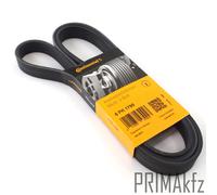 Cinghia a V CONTITECH 6PK1795