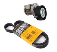 Conti Cinghia A Vite Tensionatore Per Audi A2 Seat Ibiza Skoda VW Golf 4 1.4 1.6