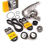 CONTI Cinghia Dentata Cinghia A V Poli Per FIAT Ducato 244 250 2.3 D