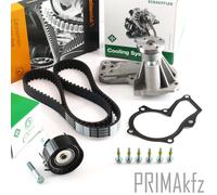 Conti Cinghia Distribuzione + Ina Wapu Ruolo per Ford Focus II III VI C-Max