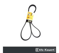 Conti Cinghia Poly-V 6PK2115 Con Climatizzazione Compatibile Con Porsche 986 996