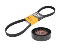 Conti Cinghia Poly-V E Rullo Tensionatore Per VW Audi Seat Skoda 1.6-2.0 TDI