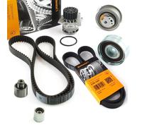 Conti Cinghia Trapezoidale + Wapu Ruoli per Audi Seat VW Golf 6 1.6 2.0 Tdi