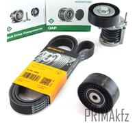 Conti Cinghie Trapezoidali + Ina Braccio + Puleggia per Audi A4 A6 Exeo 2.0 Tdi