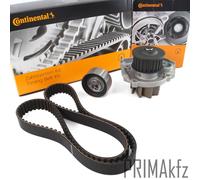 Conti CT1115WP1 Dentate per Fiat 500 Panda Punto Lancia Ypsilon Musa