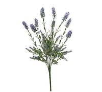 Conti Mazzo Lavanda H 49 Cm Purple