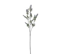 Conti Ramo Lavanda H 66 Cm x 3 Purple