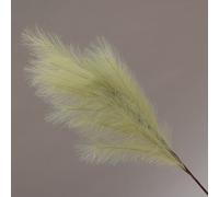 Conti Ramo Pampas 105 Cm Green