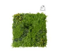 Conti Tappeto Erboso 100 x 100 Cm Verde