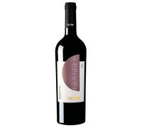 Conti Zecca Cantalupi Salento IGP Negroamaro 2024 0,75 l