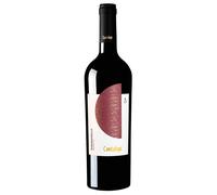 Conti Zecca Cantalupi Salento IGP Susumaniello 2023 0,75 ℓ