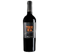 Conti Zecca Terra IGP Salento Aglianico barricato Icone 2021