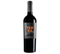 Conti Zecca Terra Salento IGP Aglianico 2020 0,75 ℓ