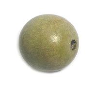 Contiene legno sfera ocra diam. 10 mm. 500 u. ca.