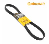 Continental 6PK1026 Cinghia Scanalata per Audi A3 A4 A5 Seat Leon VW Golf Passat
