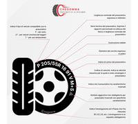 Continental ContiScoot ( 100/80-14 TL 48S ruota posteriore, M/C, ruota anteriore )