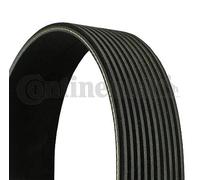 ContiTech Cinghia servizi 10PK1521 Poly-V per Volvo
