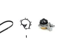 CONTINENTAL CTAM 3PK576 ELAST WP1 Pompa acqua + Kit cinghia Poly V per CITROËN,D