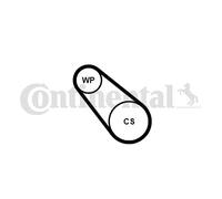 CONTITECH 3PK576 ELAST WP2 Pompa acqua + Kit cinghia Poly V