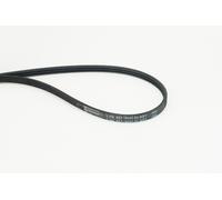 CONTITECH 3PK823 ELAST Cinghia servizi