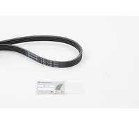 CONTINENTAL CTAM 4PK1237 Cinghia Poly-V per AUDI,RENAULT,SKODA,TOYOTA,VW