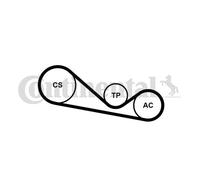 CONTINENTAL CTAM 4PK1237K1 Kit Cinghie Poly-V per AUDI,SKODA,VW