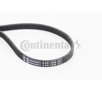 Cinghia Poly V Continental Ctam 4PK1538 per Nissan Peugeot Renault Dacia