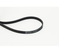 CONTINENTAL CTAM 4PK800 Cinghia Poly-V per ASTON MARTIN,CITROËN,DAIHATSU,FIAT,HO