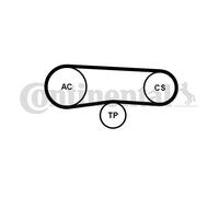 CONTINENTAL CTAM 4PK863K1 Kit Cinghie Poly-V per BMW