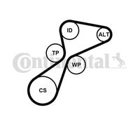 CONTINENTAL CTAM 5PK1105K1 Kit Cinghie Poly-V per MINI