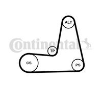 CONTINENTAL CTAM 5PK1110K1 Kit Cinghie Poly-V per DACIA,NISSAN,RENAULT