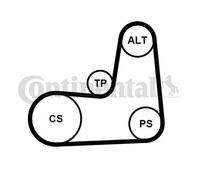 CONTINENTAL CTAM 5PK1135K2 Kit Cinghie Poly-V per NISSAN,RENAULT