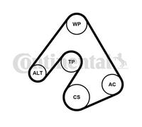 CONTINENTAL CTAM 5PK1207K1 Kit Cinghie Poly-V per CHEVROLET,OPEL,VAUXHALL