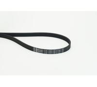 ContiTech Cinghia servizi 5PK1230 ELAST per Hyundai i10 1230 mm