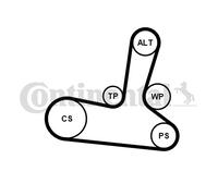 CONTINENTAL CTAM 5PK1300WP1 Pompa acqua + Kit cinghia Poly V per AUDI,VW