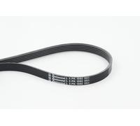 ContiTech Cinghia Poly-V 5PK1592
