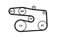 CONTITECH 5PK1646K1 Kit Cinghie Poly-V