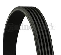 Cinghia trapezoidale multirighe 5PK736 CONTINENTAL CTAM per PORSCHE ROVER MG